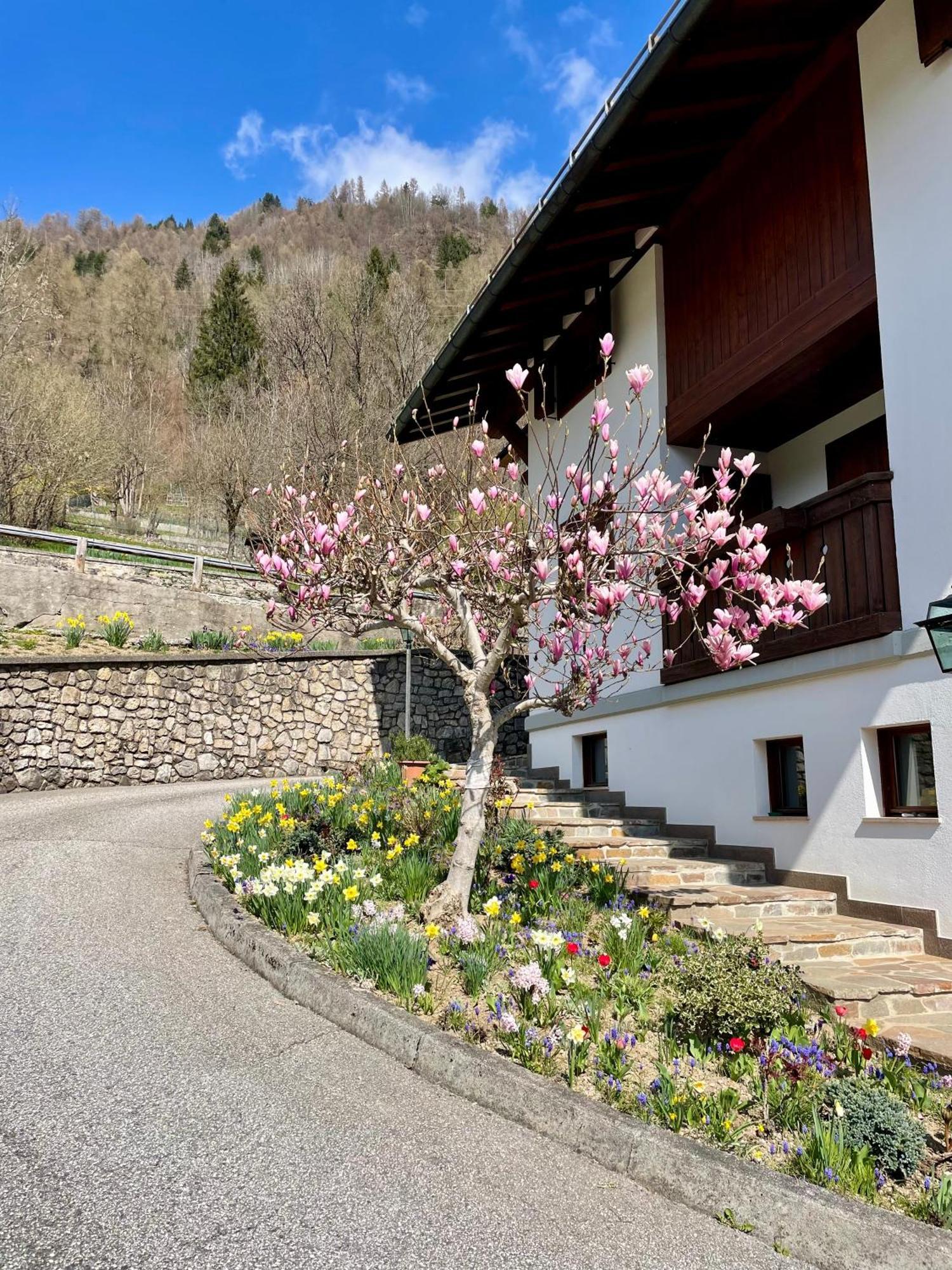 Cà Borghetto Venas Exterior foto